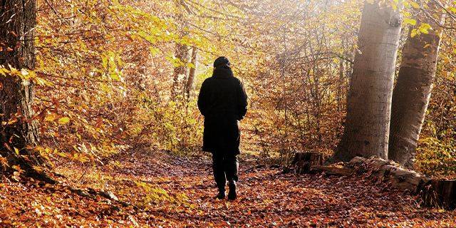 Herbstblues