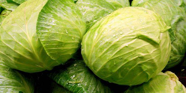 Weißkohl