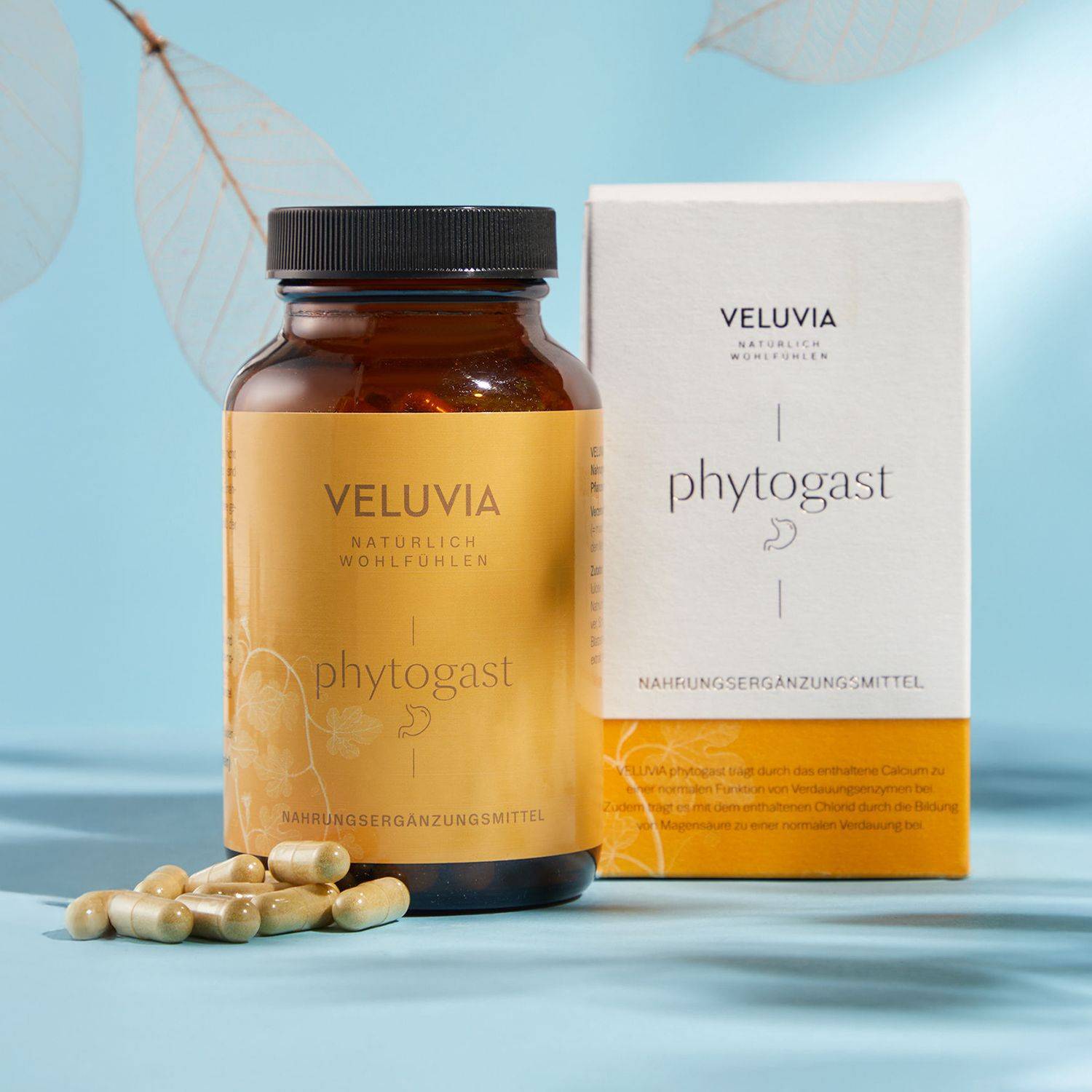 VELUVIA phytogast