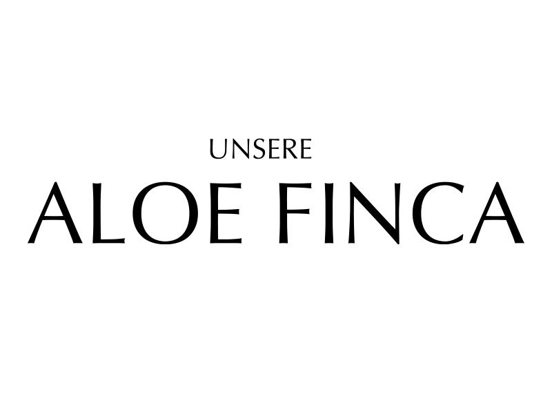 image slider