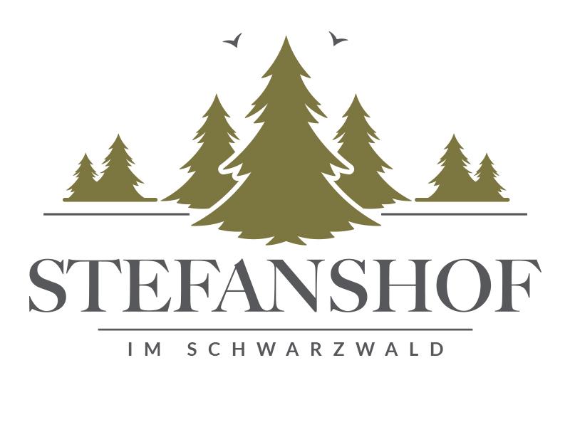 image slider