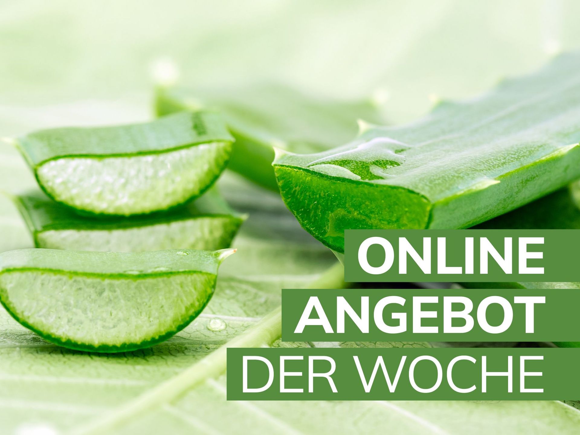 Online Angebot der Woche – Unsere Aloe Finca