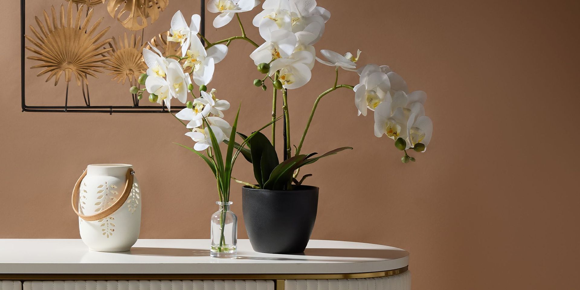 Weiße Orchideen in schwarzem Topf auf cremefarbenem Tisch vor brauner Wand
