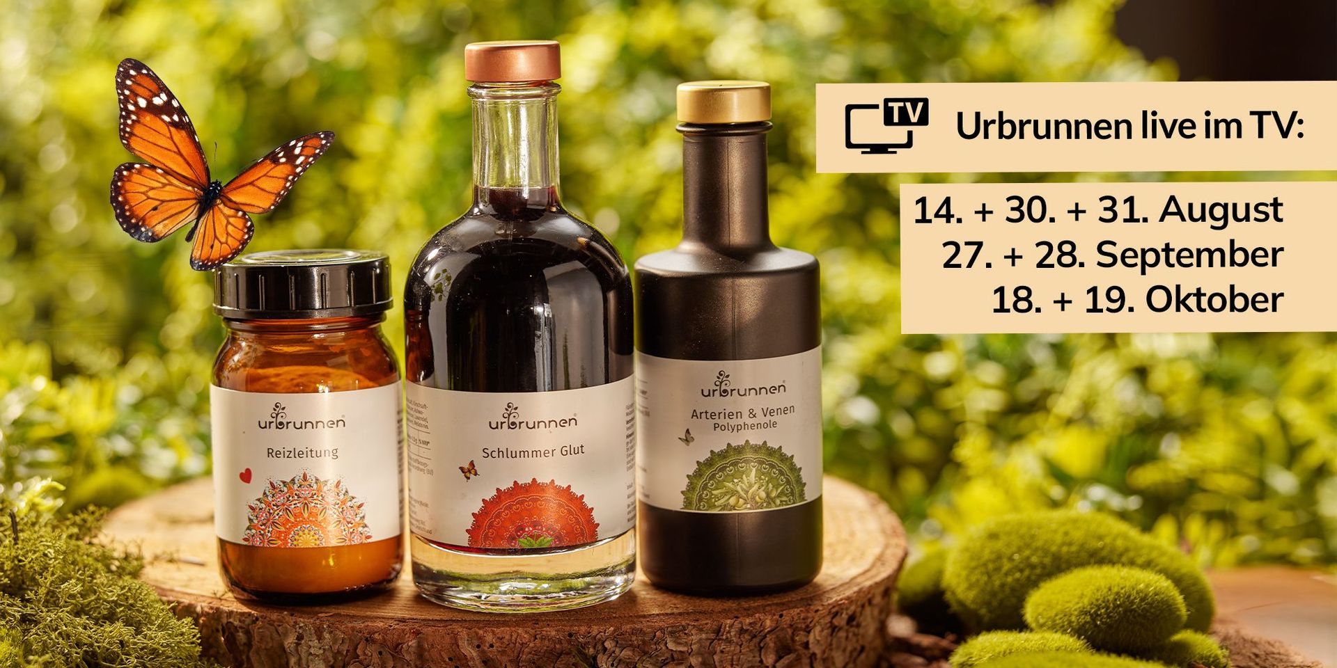 Drei Urbrunnen Produkte auf einer Holzscheibe vor einem grünen Hintergrund