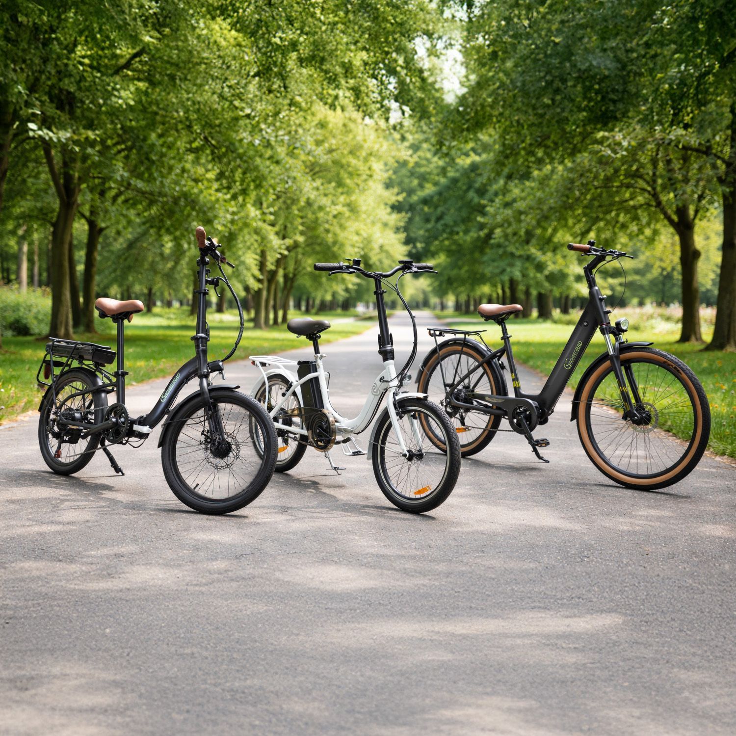 Drei unterschiedliche Elektrofahrräder stehen auf einem Weg in einem Park mit Bäumen im Hintergrund