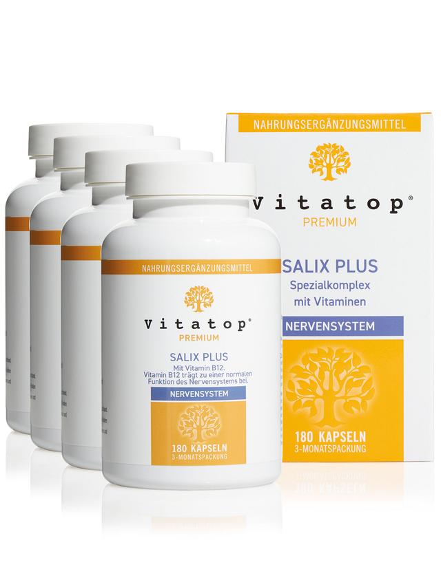 Produktbild von "Salix Plus" mit B-Vitaminen & einem Phyto-Komplex, Kapseln, Jahresvorrat