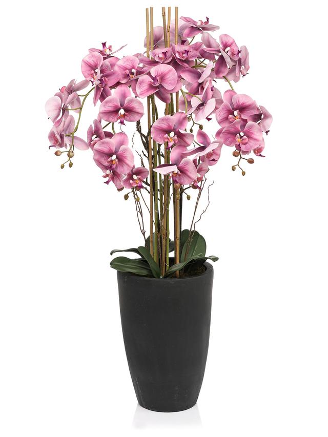 Produktbild von Künstliche Orchidee im Topf, Phalaenopsis, Real Touch, 120 cm