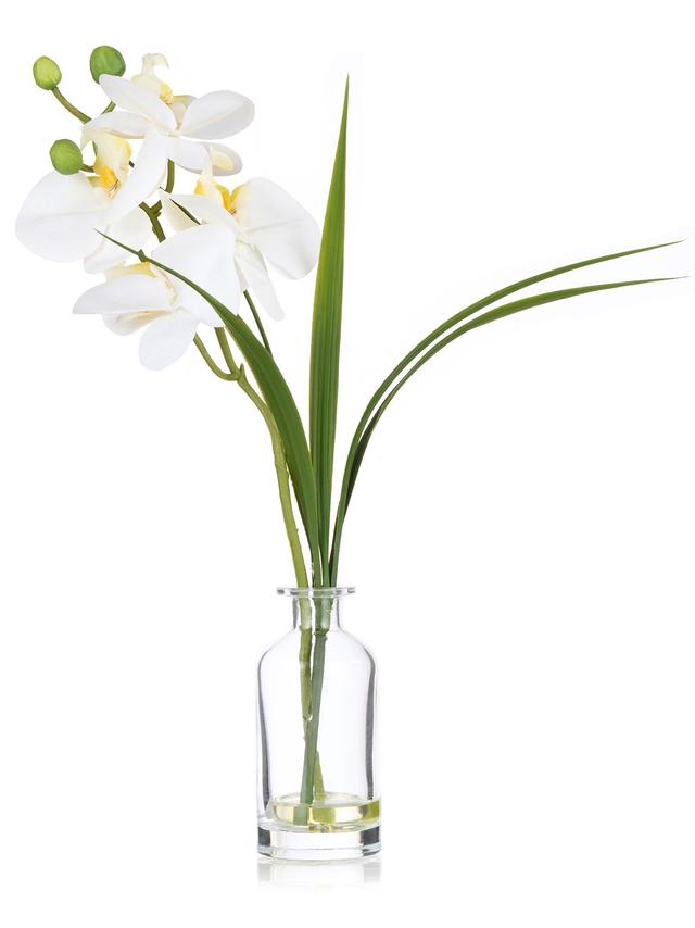 Produktbild von Kunstpflanze Orchidee Phalaenopsis inkl. Glasvase, 28 cm