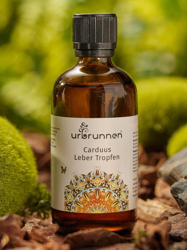 Produktbild von "Carduus Leber Tropfen" mit Mariendistelfrüchten, 100 ml