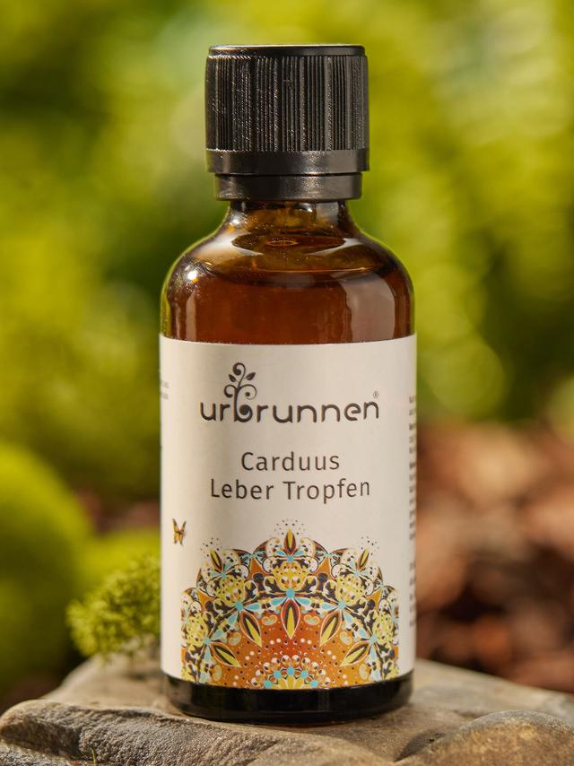 Produktbild von "Carduus Leber Tropfen" mit Mariendistelfrüchten, 50 ml