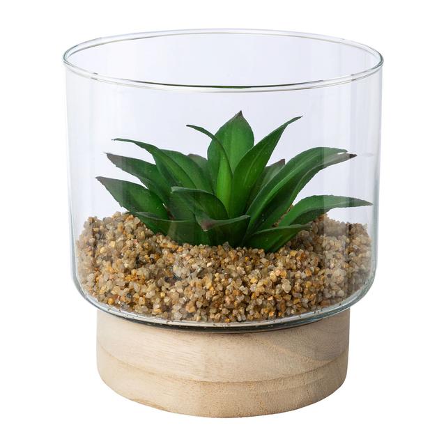 Produktbild von Künstliche Sukkulenten im Glas auf Holzsockel, 2er-Set