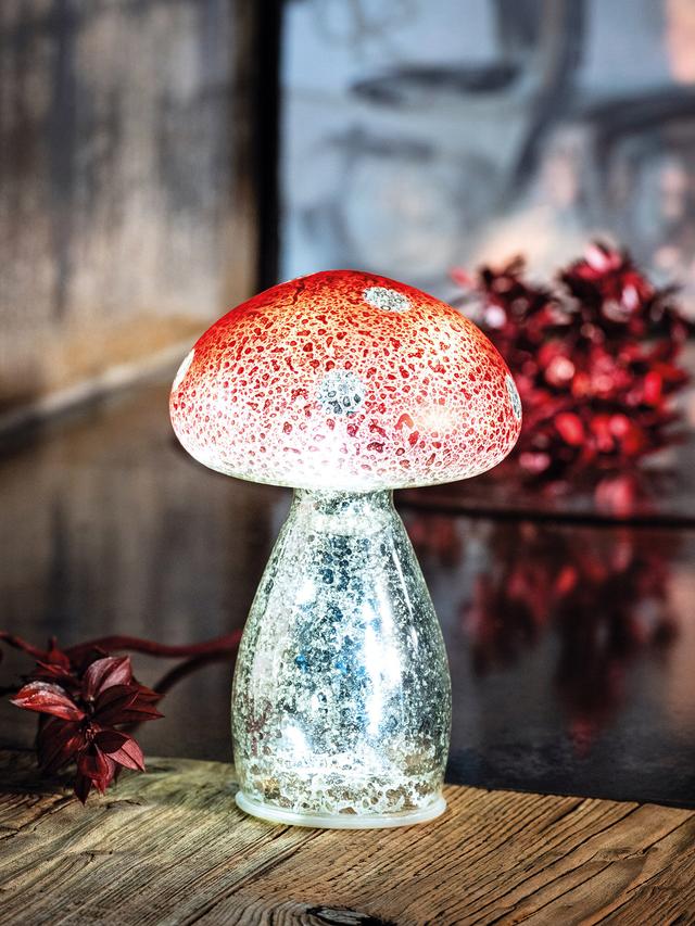 Produktbild von LED Dekoleuchte "Fliegenpilz" mit 120 h Leuchtdauer, 11 x 18 cm, 2er-Set