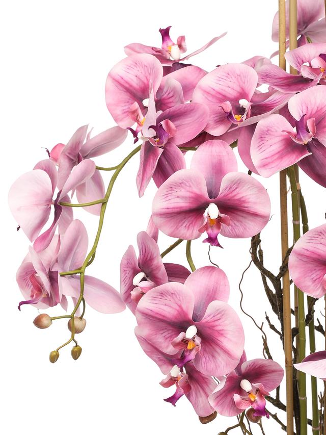 Produktbild von Künstliche Orchidee im Topf, Phalaenopsis, Real Touch, 120 cm