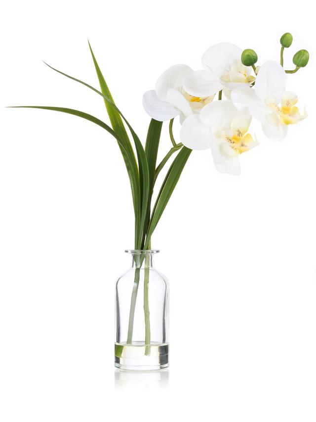 Produktbild von Kunstpflanze Orchidee Phalaenopsis inkl. Glasvase, 28 cm
