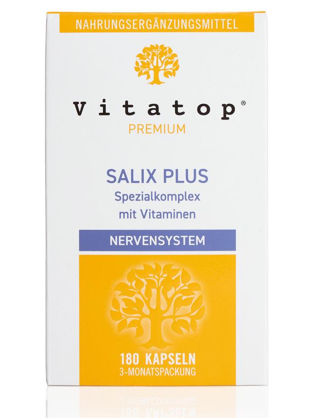 Produktbild von "Salix Plus" mit B-Vitaminen & einem Phyto-Komplex, Kapseln, Jahresvorrat