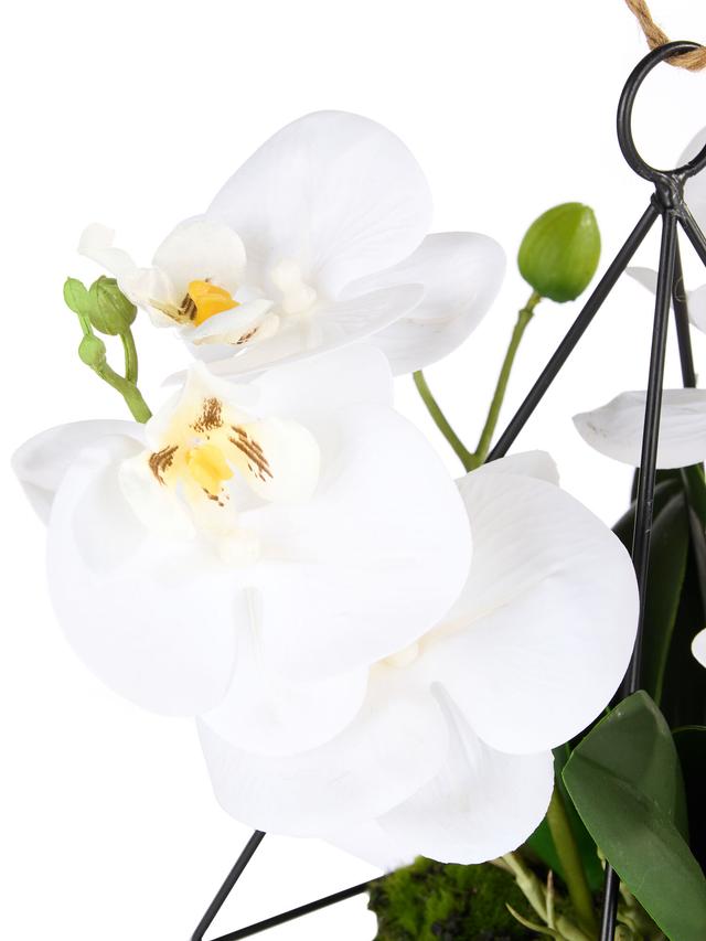 Produktbild von Kunstorchidee Hängepflanze, Metallrahmen, Realtouch, 26 cm