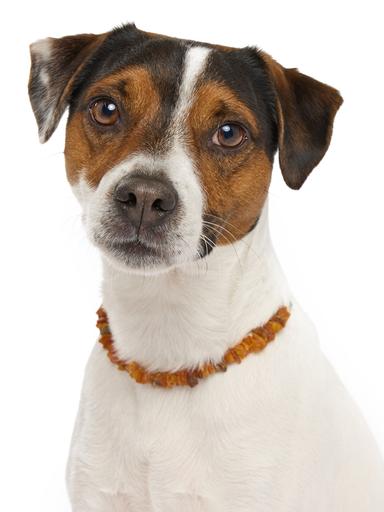 Produktbild 3 von 11