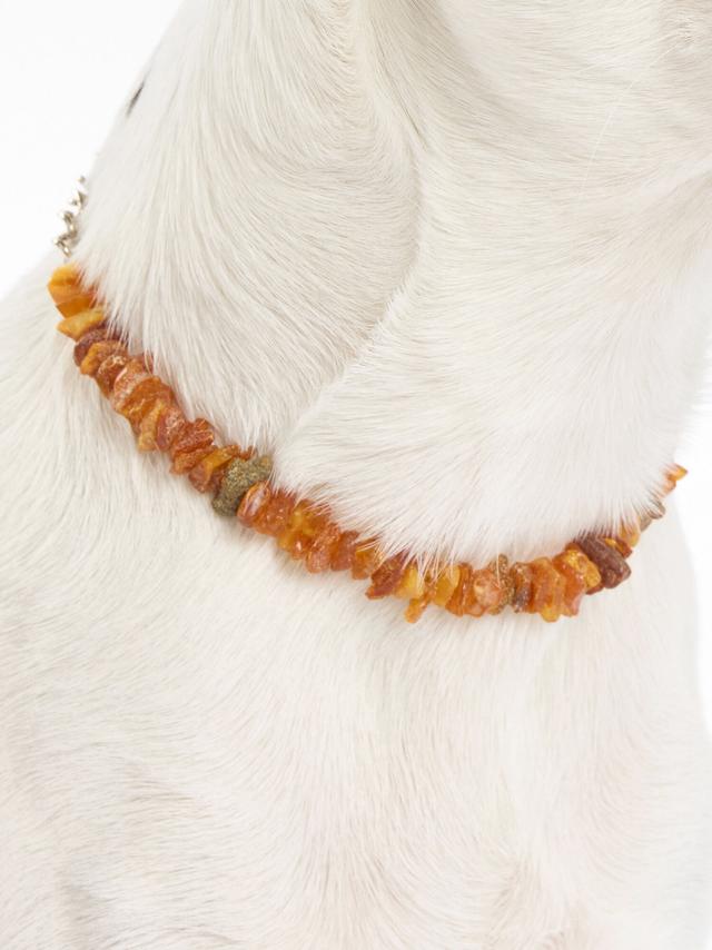 Produktbild von Bernsteinkette Hund "Flexi" Hundehalskette aus Naturbernstein, verstellbar, mit Sicherheitsverschluss, 25-35 cm