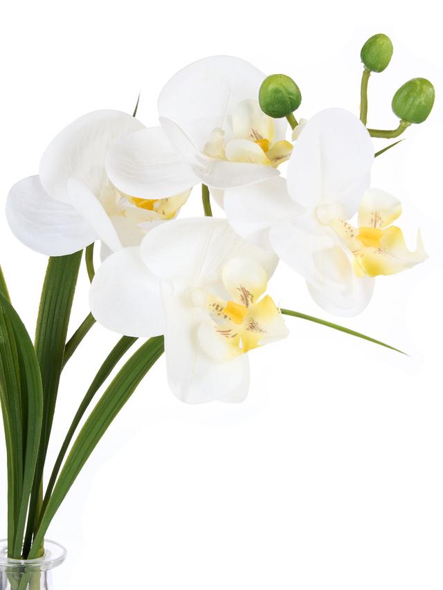 Produktbild von Kunstpflanze Orchidee Phalaenopsis inkl. Glasvase, 28 cm