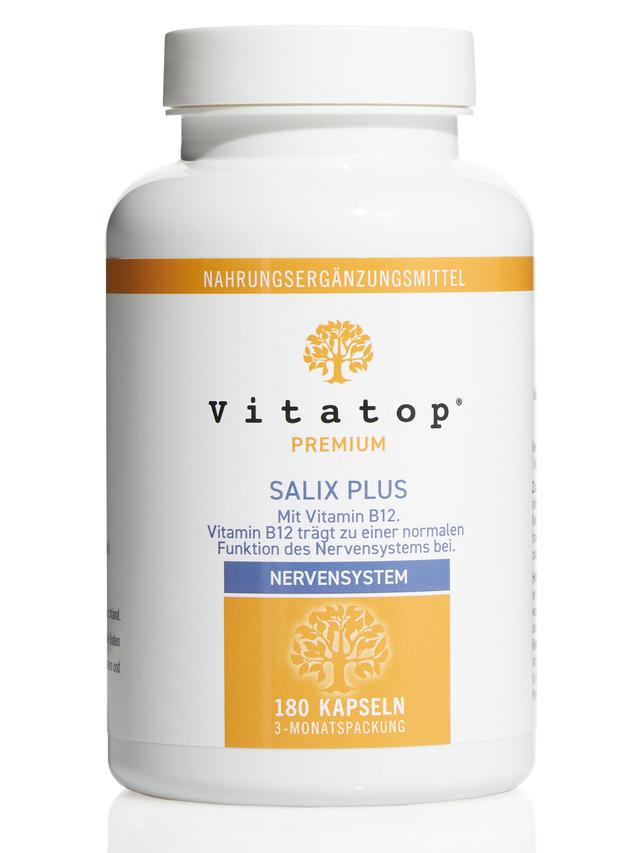 Produktbild von "Salix Plus" mit B-Vitaminen & einem Phyto-Komplex, Kapseln, Jahresvorrat