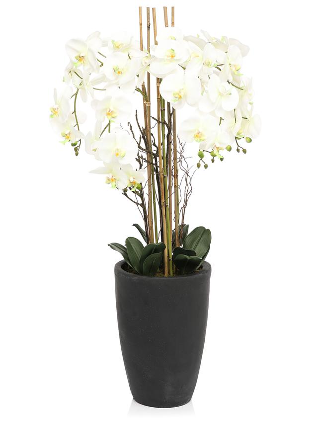 Produktbild von Künstliche Orchidee im Topf, Phalaenopsis, Real Touch, 120 cm