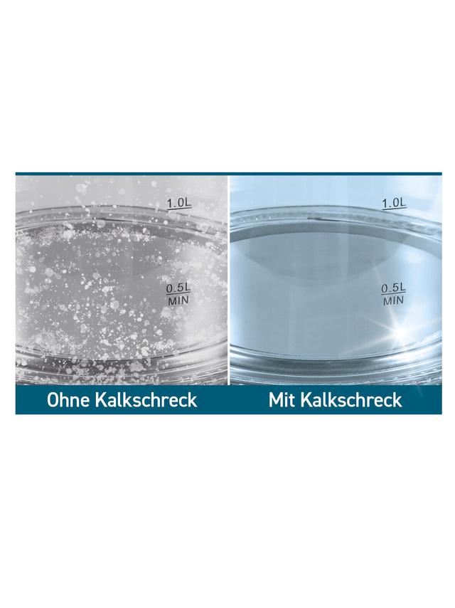 Produktbild von Rokitta's Kalksammler "Kalkschreck" aus Edelstahl, 4er-Set