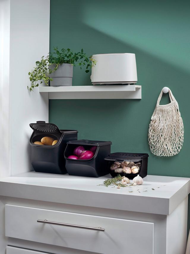 Produktbild von Tupperware KartoffelBox gegen Fäulnis, Gerüche und Keimung, 28,2 x 19 x 23 cm