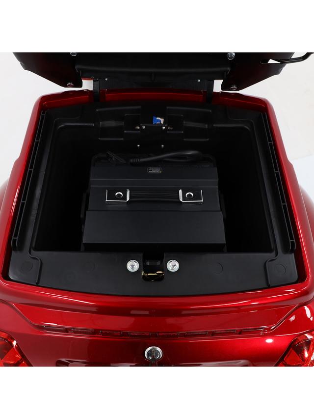 Produktbild von Elektroroller "Theo Premium" mit Straßenzulassung, Lithium Akku, 25 km/h, 1000 W