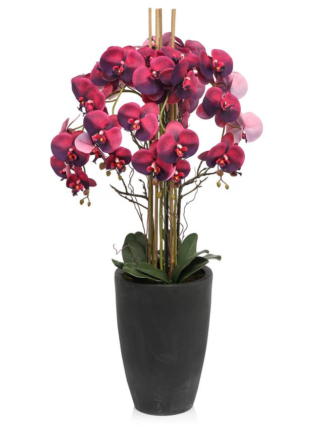 Produktbild von Künstliche Orchidee im Topf, Phalaenopsis, Real Touch, 120 cm