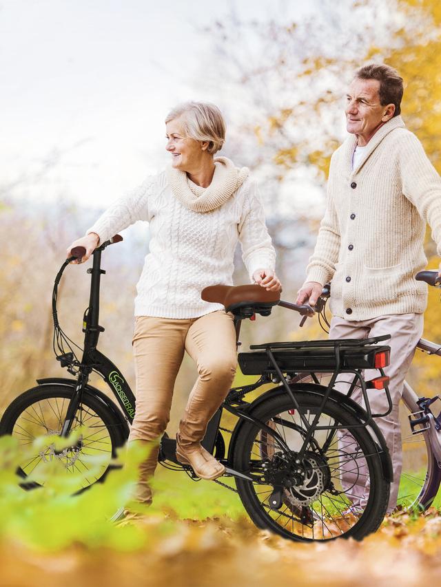 Produktbild von Elektro Faltrad 20 Zoll, mit Elektroantrieb, inkl. Ladegerät