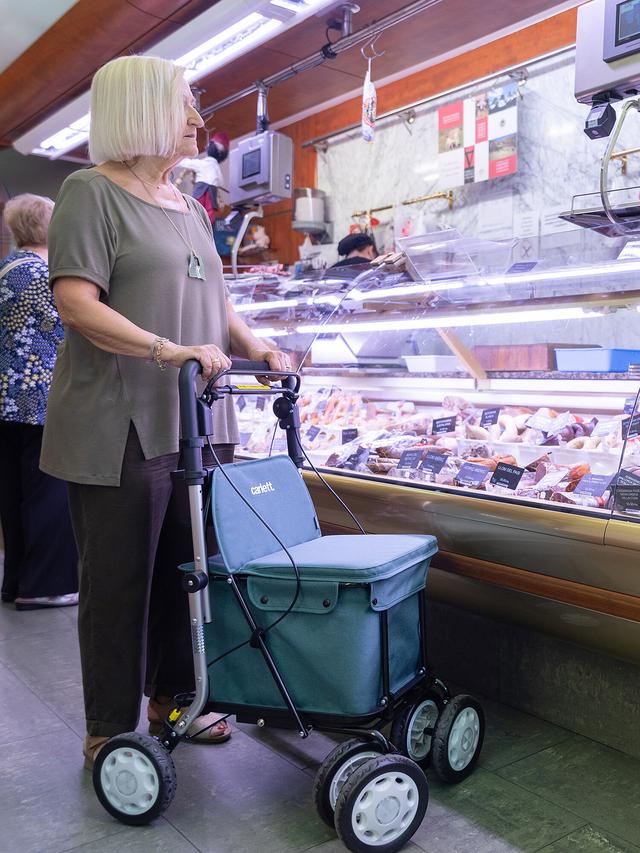 Produktbild von Einkaufsrollator "Carry assist" mit Sitzfläche, Medizinprodukt, 36 l