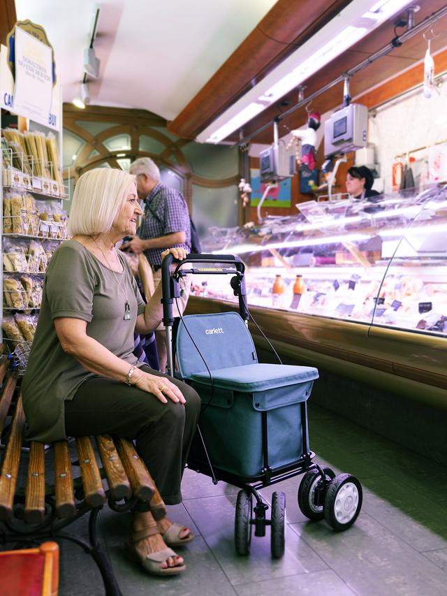 Produktbild von Einkaufsrollator "Carry assist" mit Sitzfläche, Medizinprodukt, 36 l