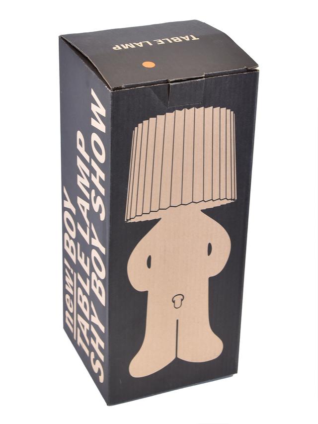 Produktbild von Dekoleuchte "GlowBro" mit abnehmbarem Lampenschirm, 3 W