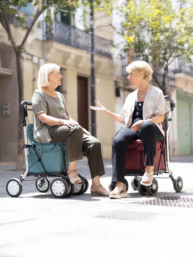 Produktbild von Einkaufsrollator "Carry assist" mit Sitzfläche, Medizinprodukt, 36 l