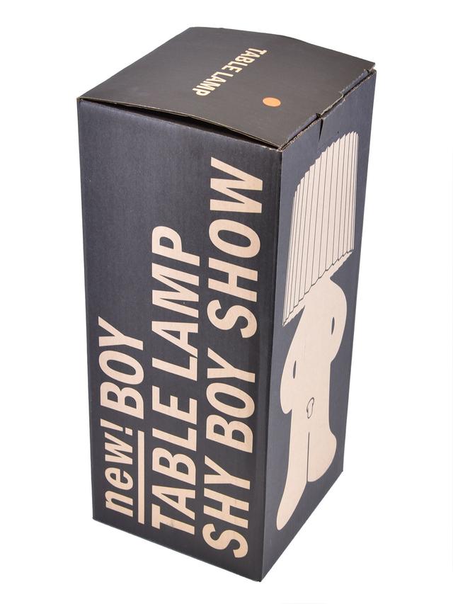 Produktbild von Dekoleuchte "GlowBro" mit abnehmbarem Lampenschirm, 3 W