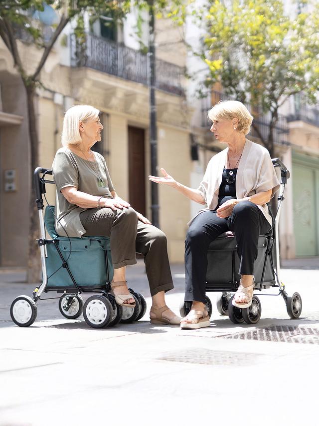 Produktbild von Einkaufsrollator "Carry assist" mit Sitzfläche, Medizinprodukt, 36 l