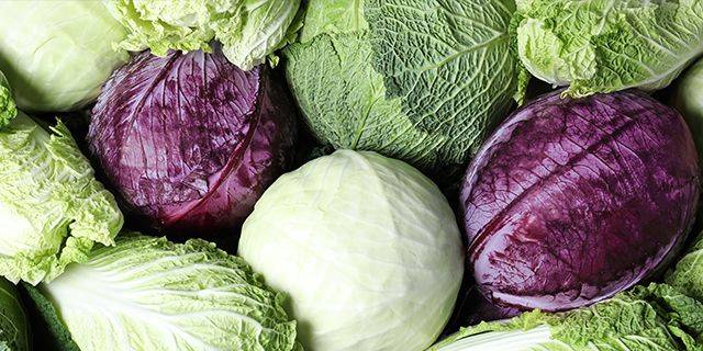 Kohlgemüse 251112-gesundheits-beratungs-newsletter-dezember-kohl-2-1920px breit.jpg