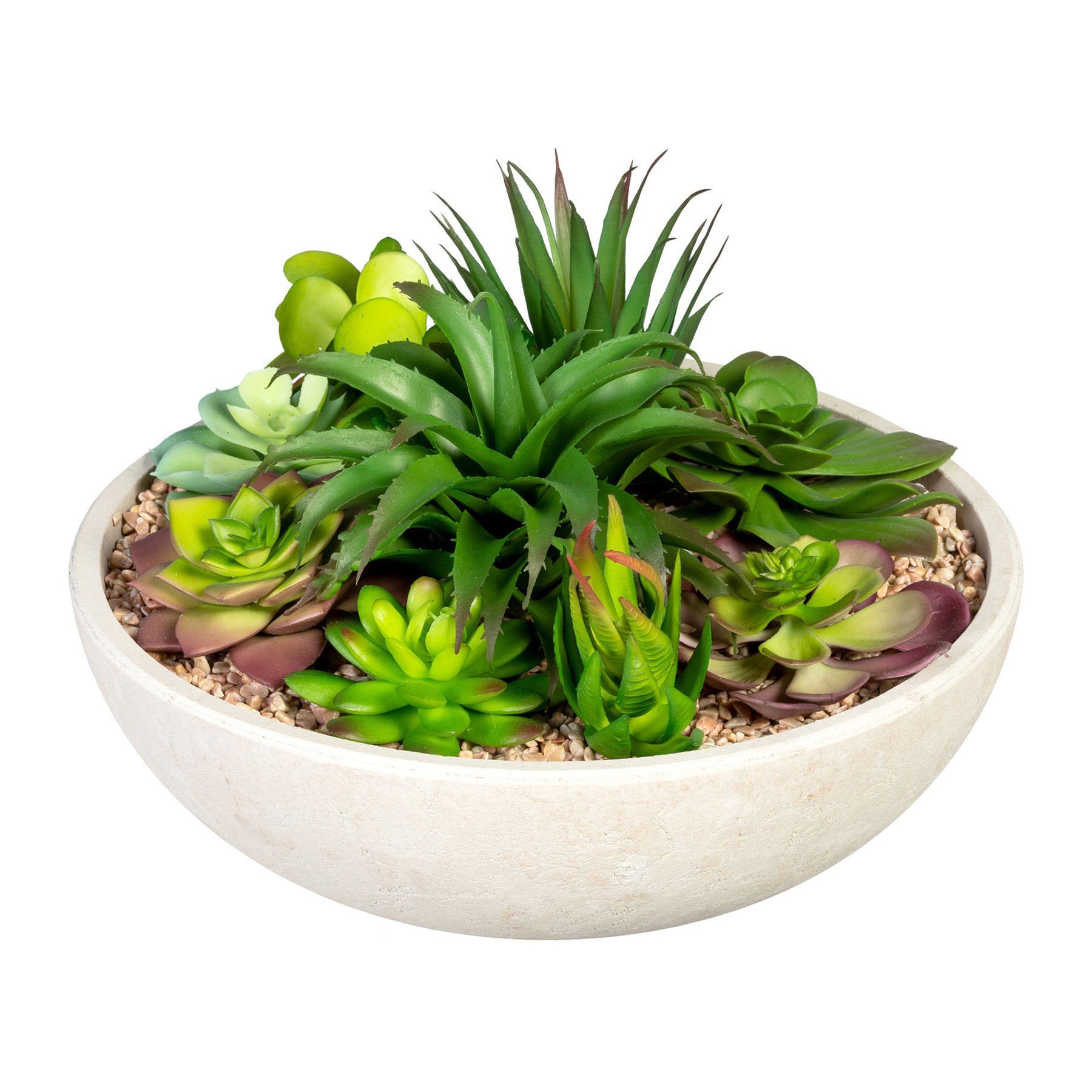 Blumen Kakteen Sukkulenten 5 x Blumenschalen Pflanzschalen Anzuchtschalen 20cm 