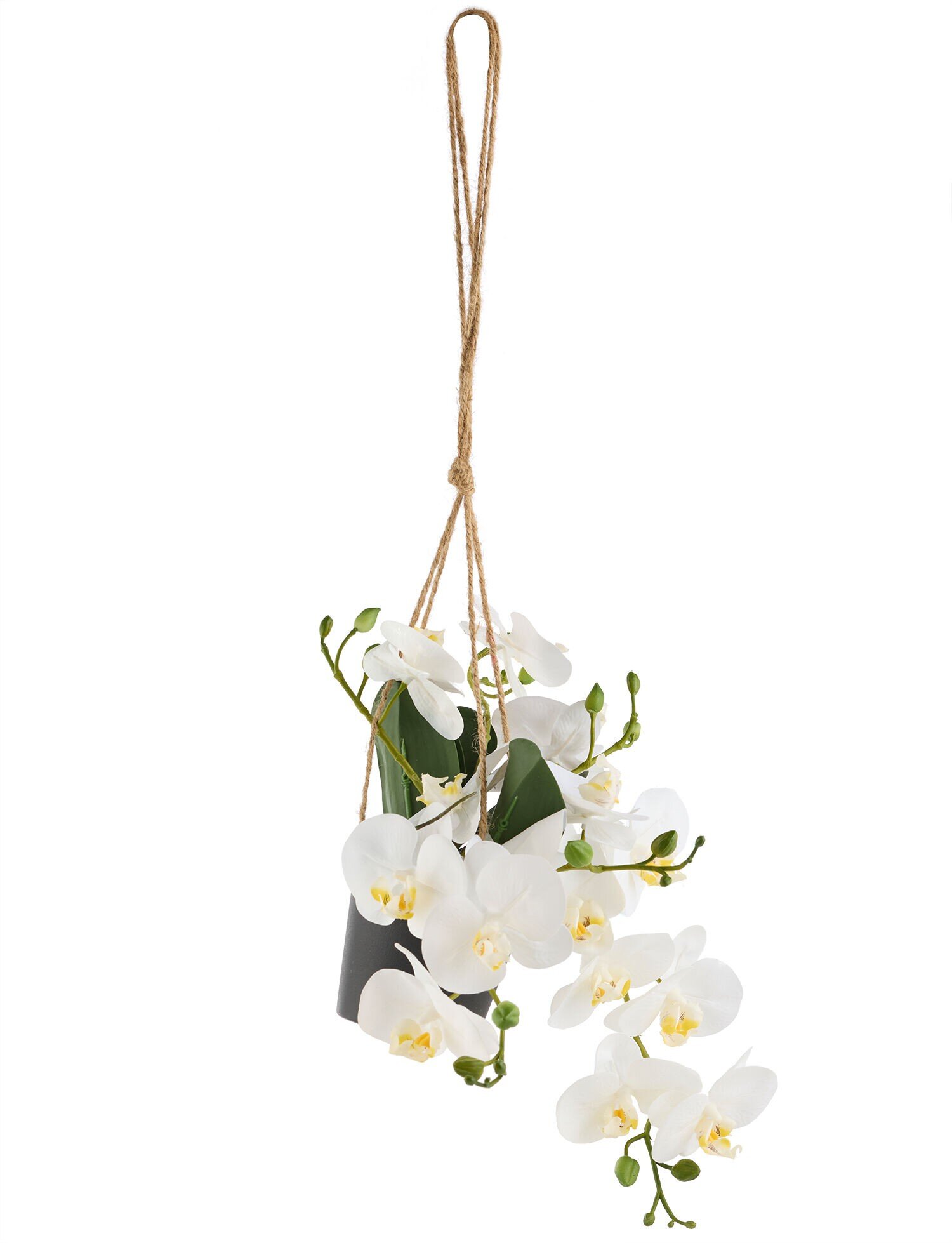 Orchideen im Topf hängend, 25 cm Alle Produkte Belles Décorations