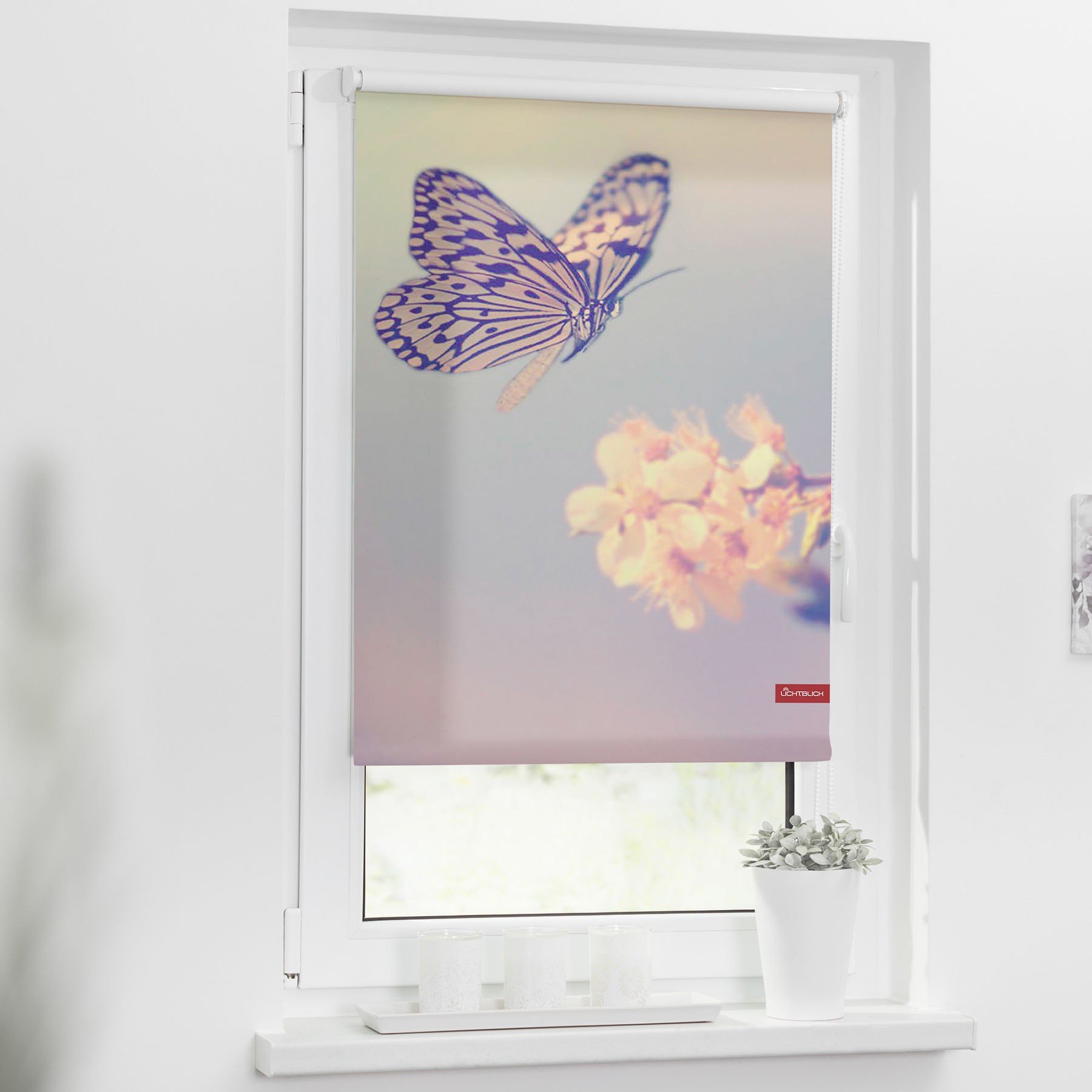 Schöne MotivRollos von Fensterwelten (100 cm x 150 cm