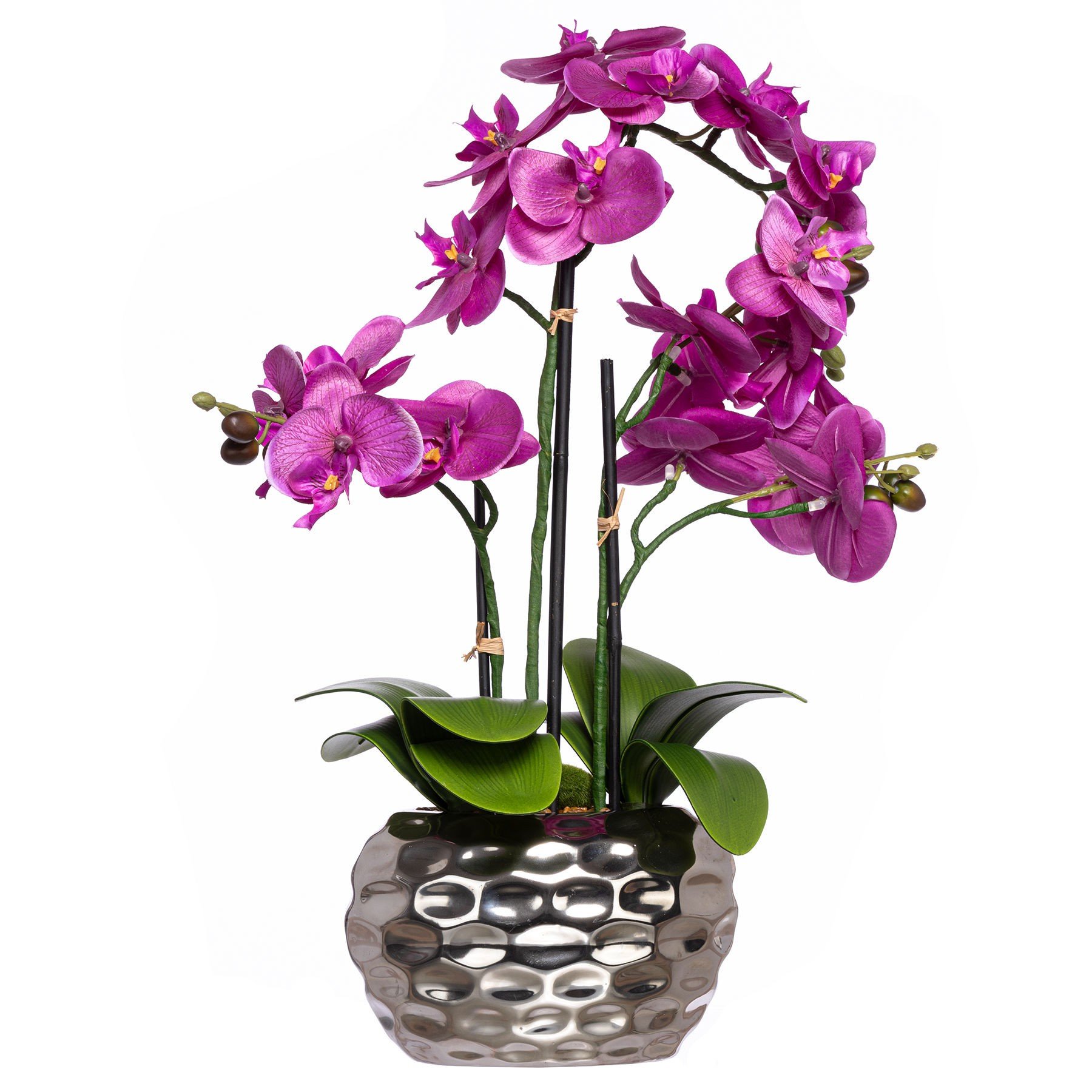 Orchidee mit LED-Beleuchtung, 55 cm - Belles Décorations ...