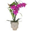 Orchideen-Arrangement mit Bambuszweigen, 60 cm