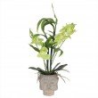 Orchideen-Arrangement mit Bambuszweigen, 60 cm