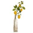 Glasvase Lemontree mit Zitronenzweig