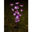 LED Solar Orchidee, Outdoor
