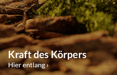 Körper