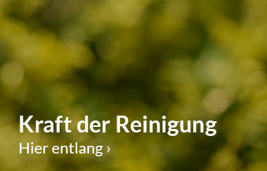 Reinigung