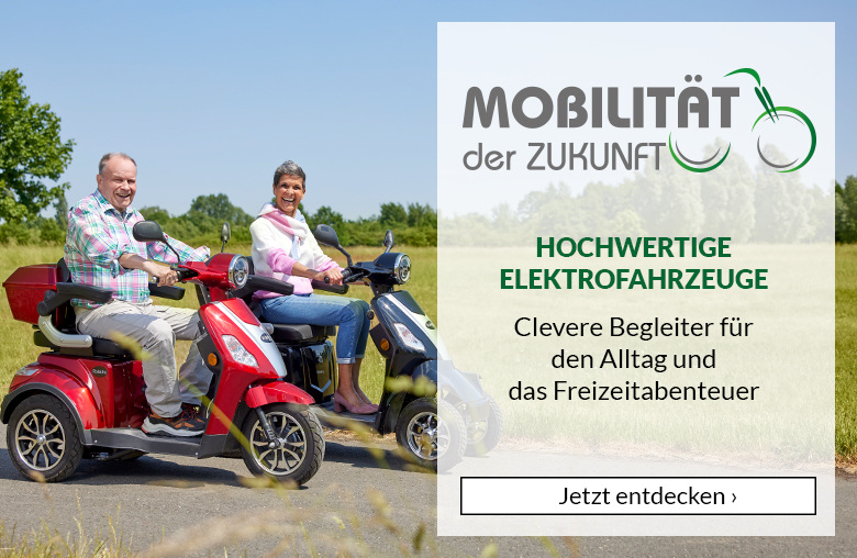 E-Bike online kaufen