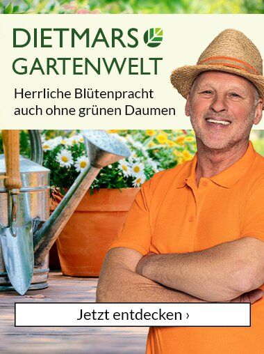 Dietmars Gartenwelt