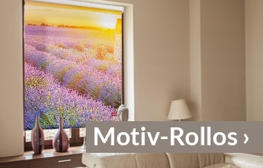 Rollos Fur Mehr Sonnenschutz Privatsphare Bonprix